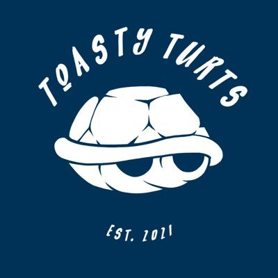 Toasty Turts NFT