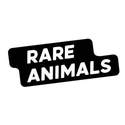 Rare Animals NFT
