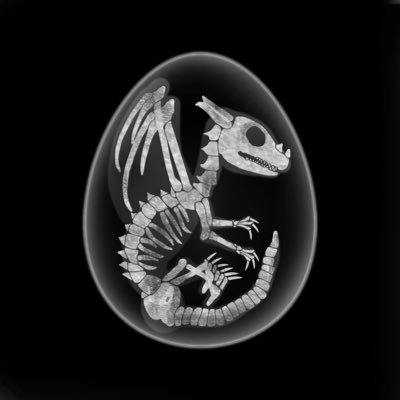 Dragon Eggs NFT